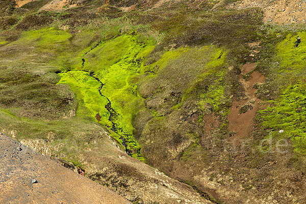 Island (Iceland)