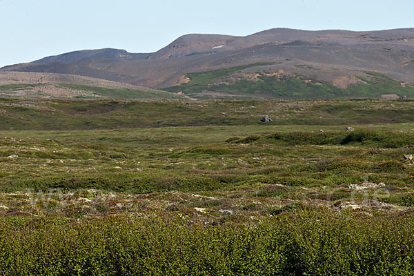 Island (Iceland)