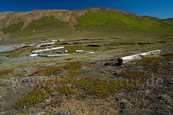 Island (Iceland)