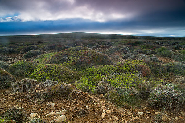 Island (Iceland)