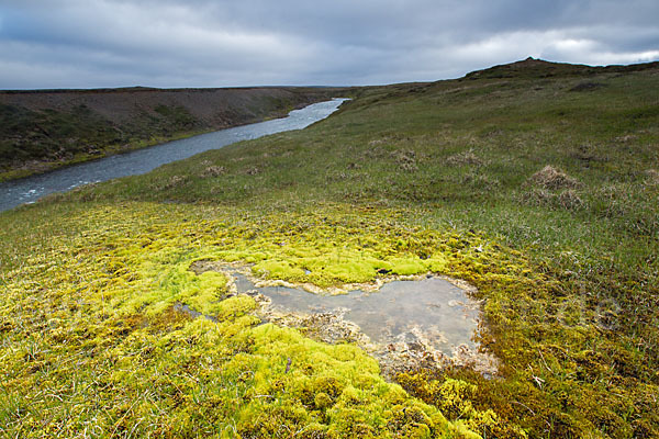 Island (Iceland)