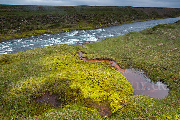 Island (Iceland)