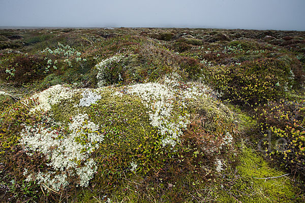 Island (Iceland)