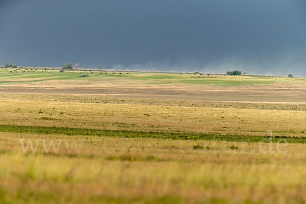 Kasachstan (Kazakhstan)