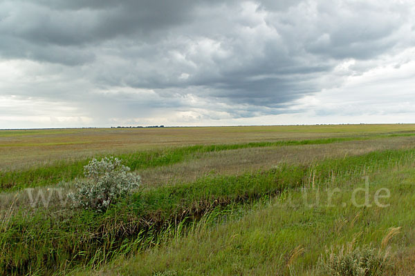 Kasachstan (Kazakhstan)