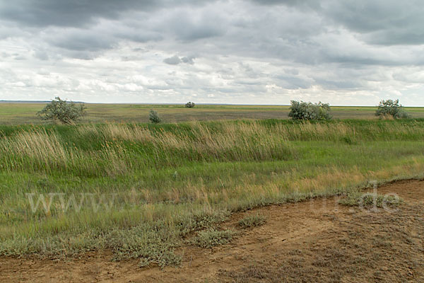 Kasachstan (Kazakhstan)