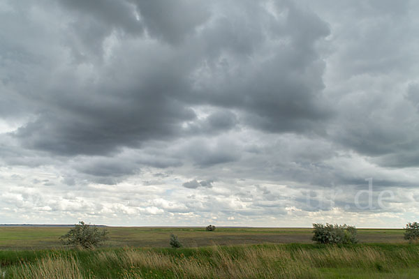 Kasachstan (Kazakhstan)