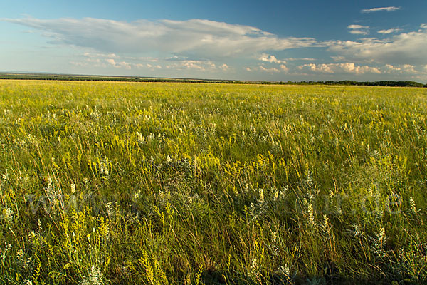 Kasachstan (Kazakhstan)