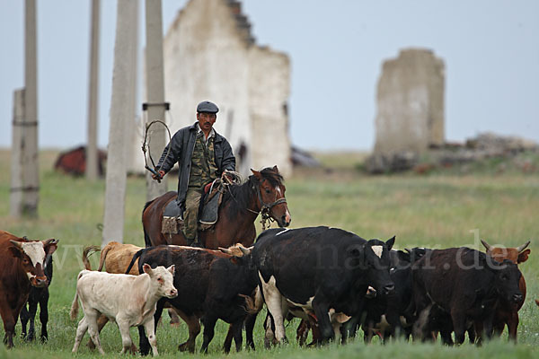 Kasachstan (Kazakhstan)