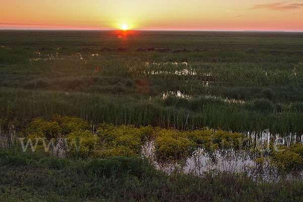 Kasachstan (Kazakhstan)