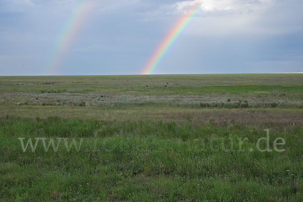 Kasachstan (Kazakhstan)