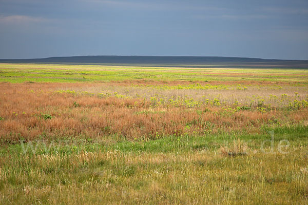 Kasachstan (Kazakhstan)