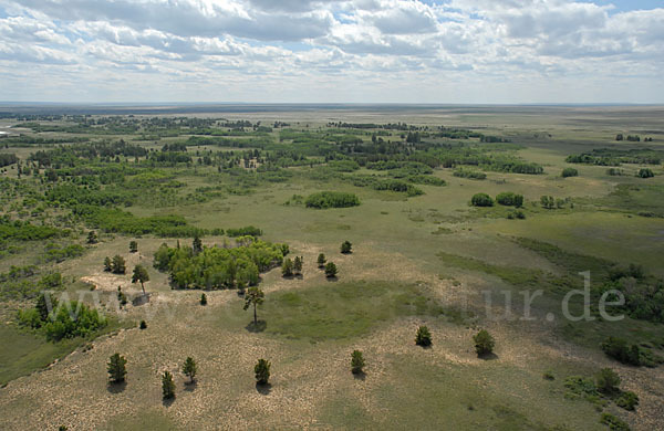 Kasachstan (Kazakhstan)