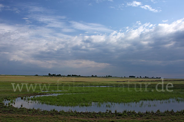 Kasachstan (Kazakhstan)