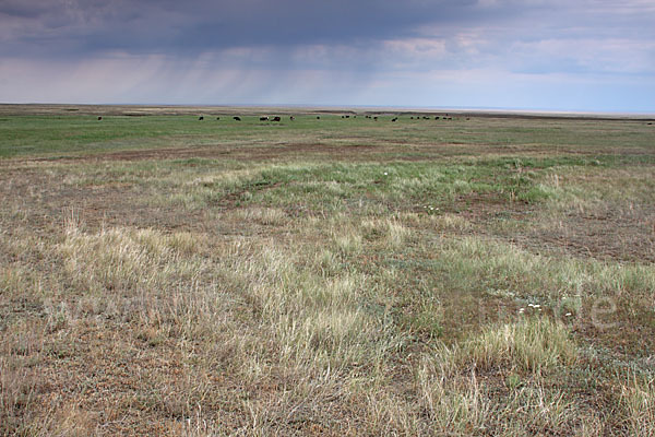 Kasachstan (Kazakhstan)