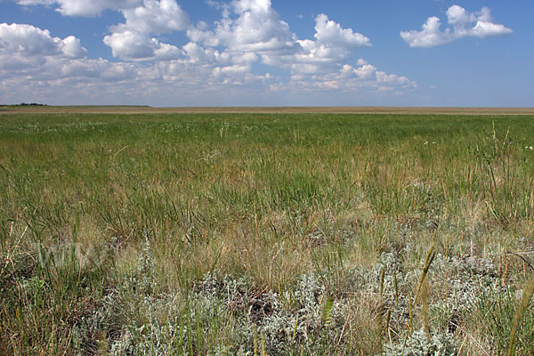 Kasachstan (Kazakhstan)