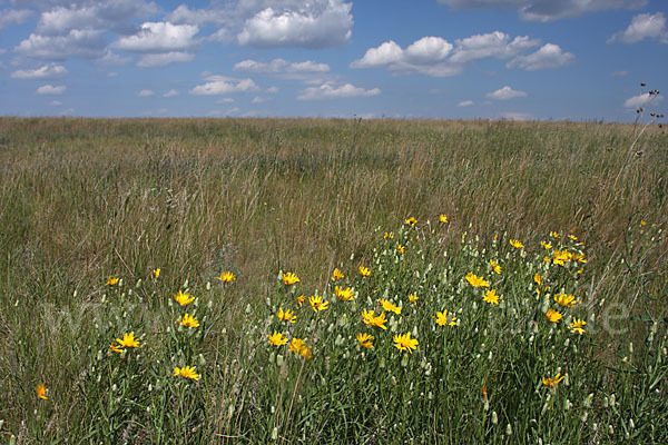 Kasachstan (Kazakhstan)