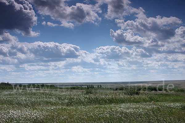 Kasachstan (Kazakhstan)