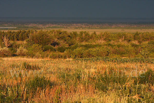 Kasachstan (Kazakhstan)