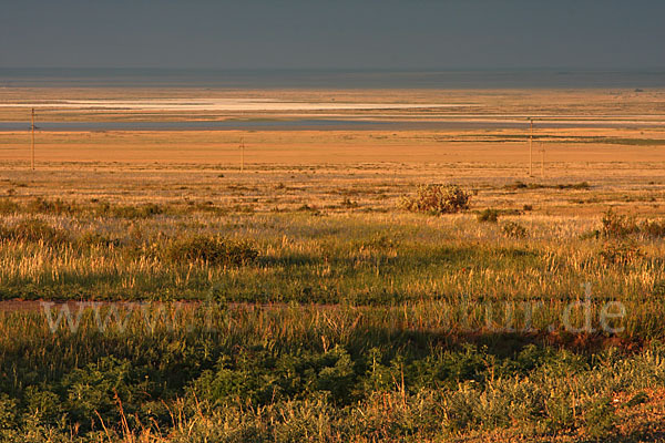 Kasachstan (Kazakhstan)