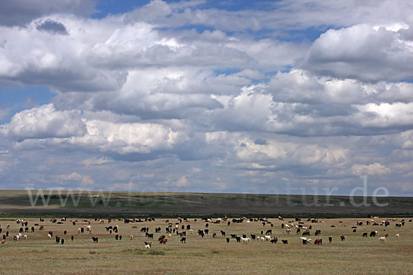 Kasachstan (Kazakhstan)