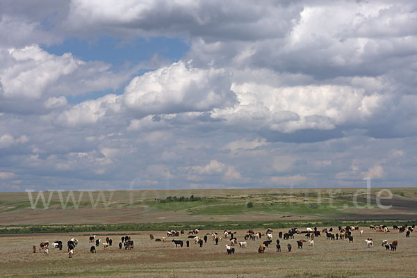 Kasachstan (Kazakhstan)