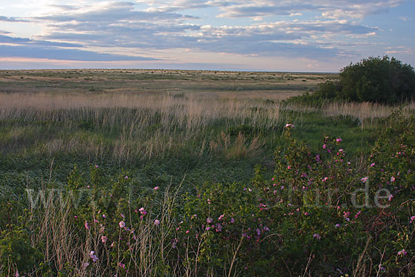 Kasachstan (Kazakhstan)