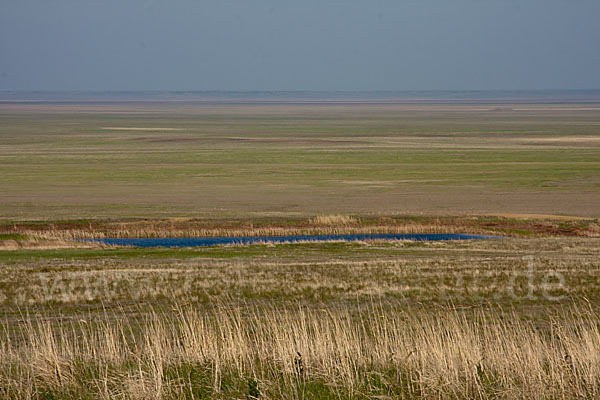 Kasachstan (Kazakhstan)