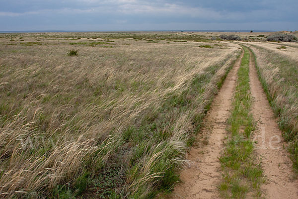 Kasachstan (Kazakhstan)