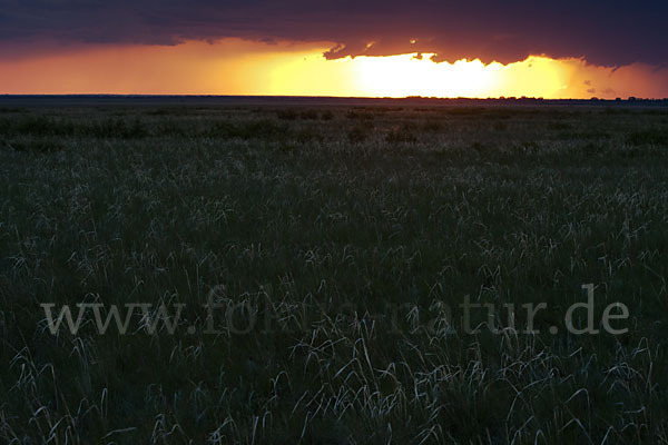 Kasachstan (Kazakhstan)