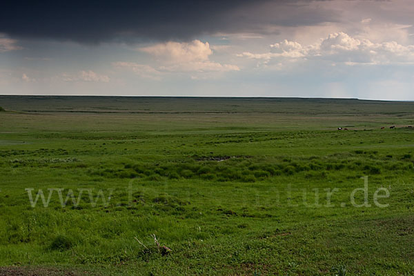 Kasachstan (Kazakhstan)