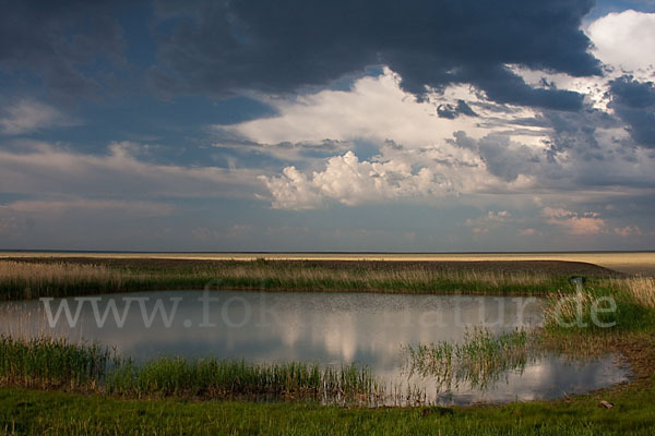 Kasachstan (Kazakhstan)