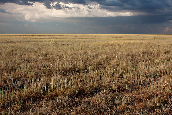 Kasachstan (Kazakhstan)