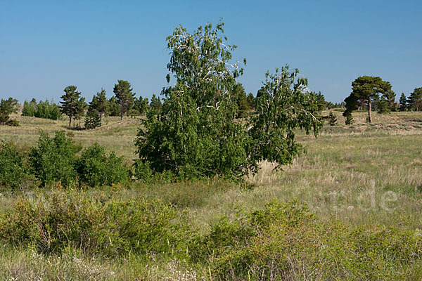 Kasachstan (Kazakhstan)