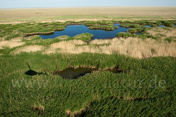 Kasachstan (Kazakhstan)