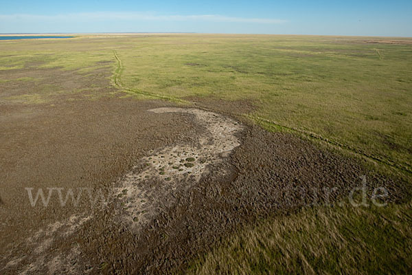 Kasachstan (Kazakhstan)