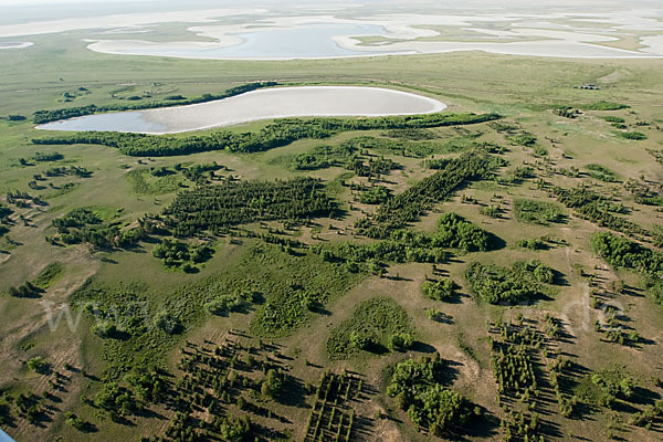 Kasachstan (Kazakhstan)