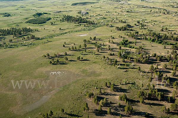 Kasachstan (Kazakhstan)