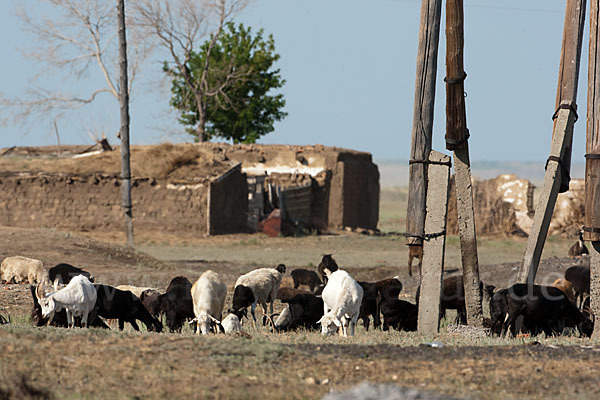 Kasachstan (Kazakhstan)