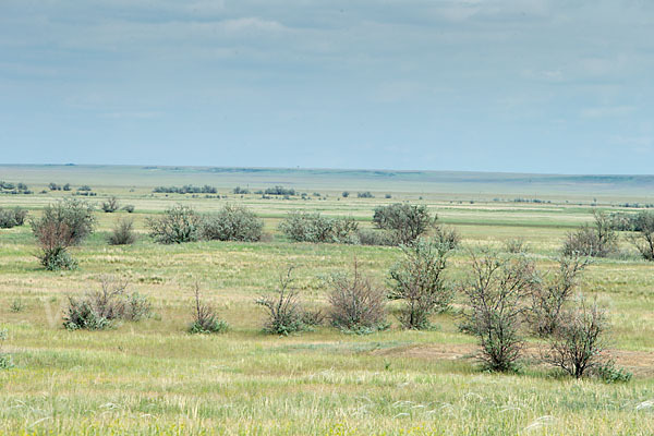 Kasachstan (Kazakhstan)