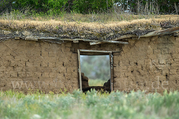 Kasachstan (Kazakhstan)