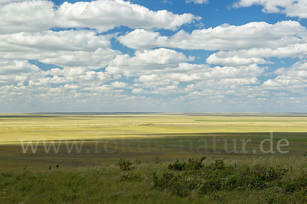 Kasachstan (Kazakhstan)