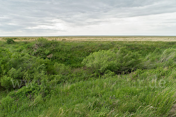 Kasachstan (Kazakhstan)