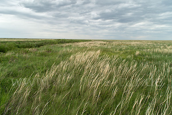 Kasachstan (Kazakhstan)