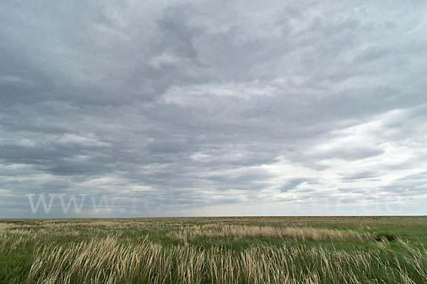 Kasachstan (Kazakhstan)