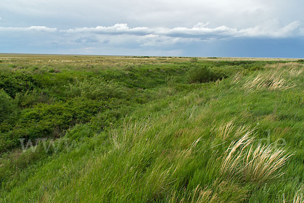 Kasachstan (Kazakhstan)