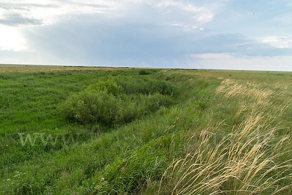 Kasachstan (Kazakhstan)