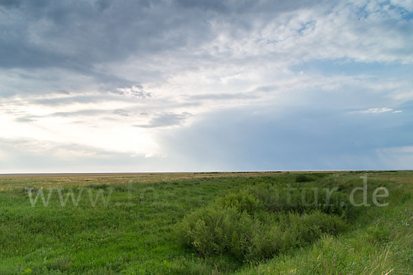 Kasachstan (Kazakhstan)