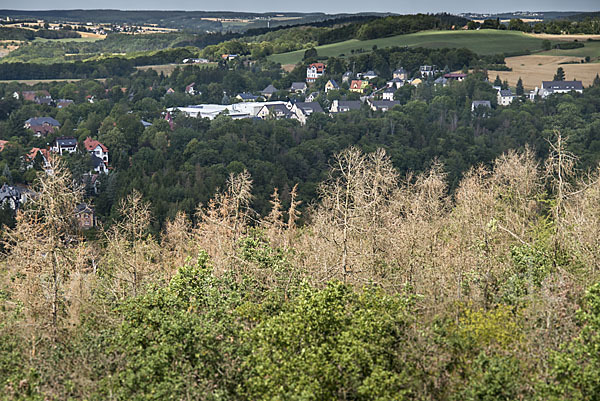 Kulturlandschaft (cultivated landscape)