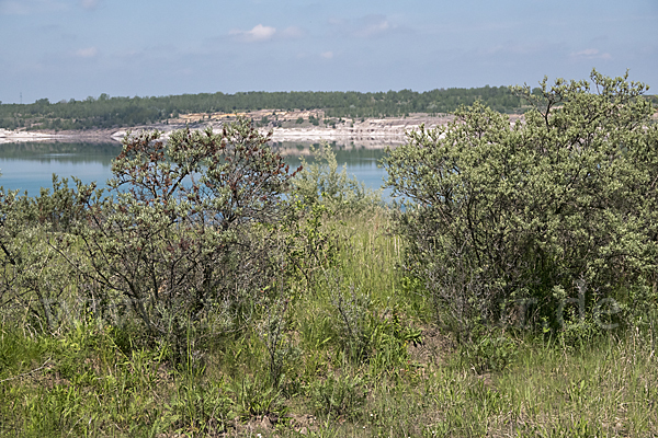 Kulturlandschaft (cultivated landscape)